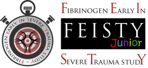 Feisty Junior Logo transparent