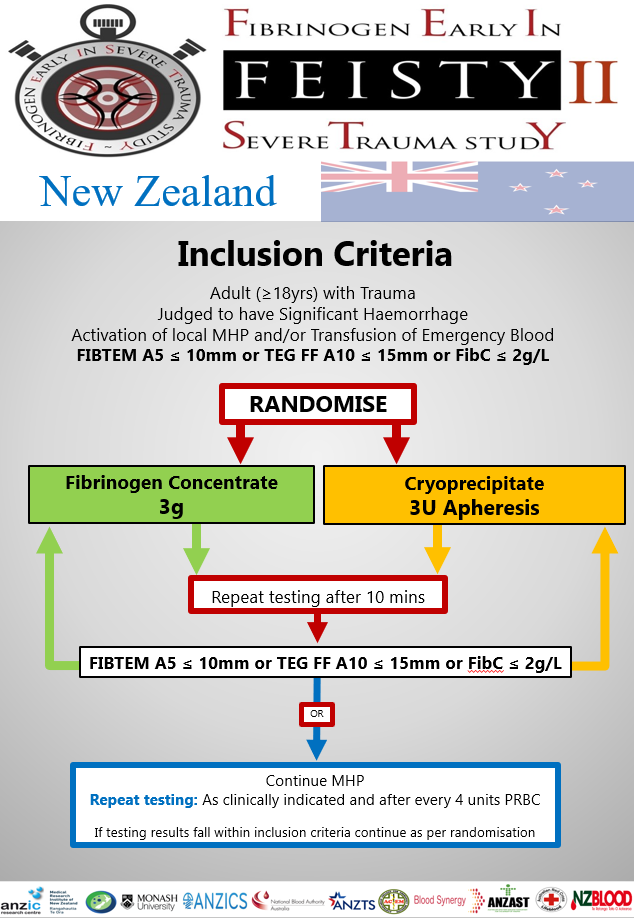 FEISTY II Criteria NZ